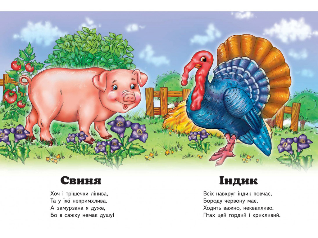 Улюбленим малюкам, Хто це? Півник, Пегас