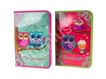 Папка для праці А4 картонна KIDIS, THE OWL WORLD