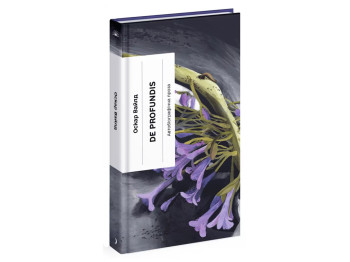 Книга De Profundis, Послання, в ув’язненні та кайданах, One more page