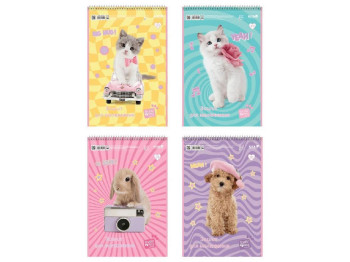 Тетрадь для рисования Studio Pets, 30 листов, упаковка 8шт (цена за 1шт)