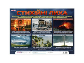 Плакат "Стихийные бедствия", Свитогляд