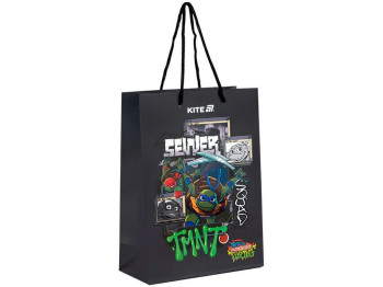 Пакет бумажный подарочный, 18х24см, TMNT Tales of the TMNT, Kite