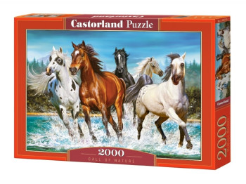 Пазлы Бегущие лошади, 2000 элементов, Castorland