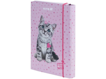 Папка для тетрадей на резинке, картон, B5, Studio Pets, Kite