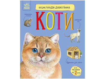 Енциклопедія дошкільника, Коти, Ранок