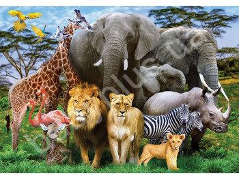 Пазлы картонные 1000 элементов серия 10 ANIMAL PLANET, Danko Toys