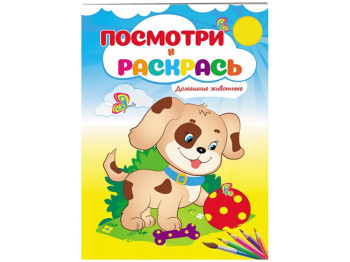 Подивися і розфарбуй, Домашні тварини, Пегас
