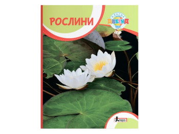 Классный алфавит, РАСТЕНИЯ, Литера