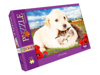 Пазли Friendship, 2000 елементів 66x94 см, Danko Toys C2000-01-09
