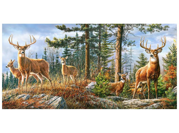 Пазлы Королевская семья оленей, 4000 элементов, Castorland