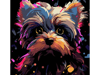 Набор для росписи по номерам Йорк цветовая экспрессия на черном фоне 30х30 см, Strateg