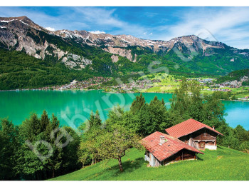 Пазлы картонные 500 элементов серия 12 Lake Brienz, Danko Toys
