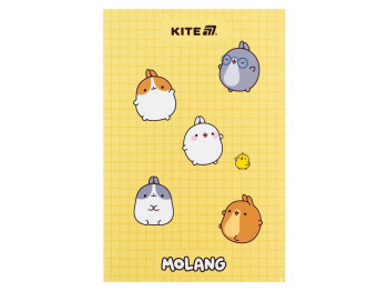 Блокнот на 64 листа А5, Molang, Kite