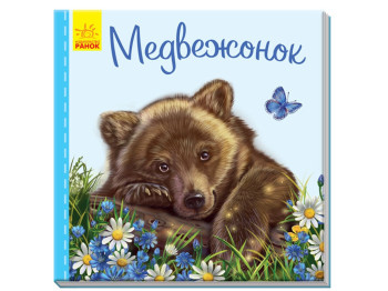 Милі звірята, Ведмедик, Ранок