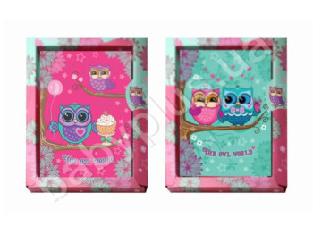 Блокнот А6 з глітером THE OWL WORLD, KIDIS 6043