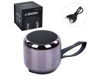 Колонка портативная Bluetooth SENXIN FG231107027D