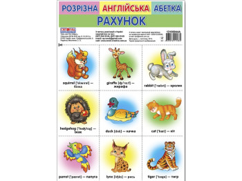 Розрізна англійська абетка, Рахунок