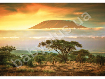 Пазлы картонные 1000 элементов серия 10 MOUNT KILIMANJARO, Danko Toys