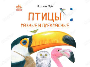 В гостях у природи, Птицы разные и прекрасные, Ранок