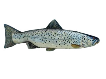 Сувенир лосось средний 57x11x8см, Копиця