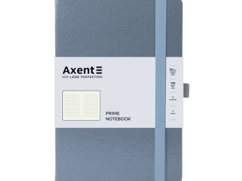 Книга записна в клетку серая Partner Prime A5. 96 листов. Axent 8305-62-A