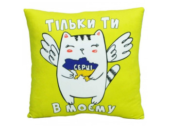 Подушка з принтом №2, Вітальна 2, Розмір 32x32x10см, Копиця