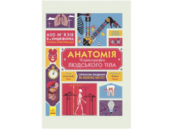 Крутезна инфографика, Анатомія, Ранок