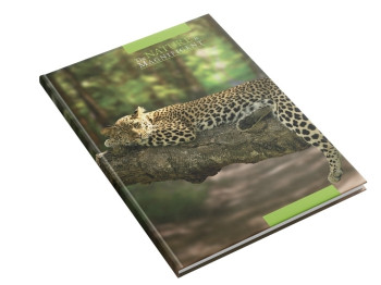 Книга канцелярская Леопард А4, 96 листов клетка, Аркуш 1В2993