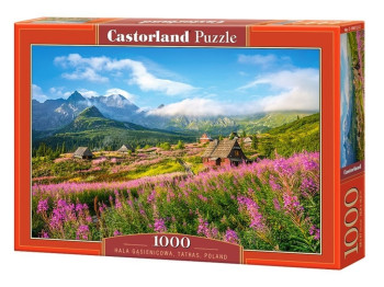 Пазлы Татры, Польша 1000 элементов, Castorland