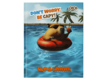 Щоденник шкільний FUN на 40 аркушів A5+