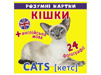 Розумні картки, Кішки, 12 карток, Crystal Book