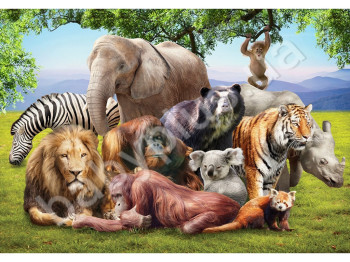 Пазлы картонные 500 элементов серия 12 Animal Planet, Danko Toys