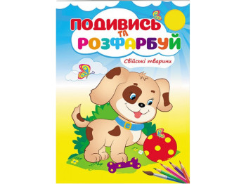 Раскраска "Посмотри и раскрась Домашние животные", 3+, Пегас