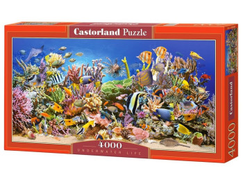 Пазлы РИФ, 4000 элементов, Castorland