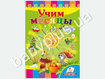 Дитяча книжка-картонка Розвивайка, Вчимо місяці, Пегас