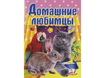 Книжка-картонка "Домашні улюбленці", серія Школа малюка, 0-3 роки, Пегас