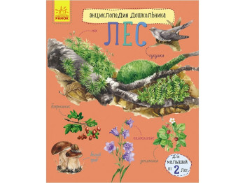 Дитяча книга Енциклопедія дошкільника, Ліс, Ранок