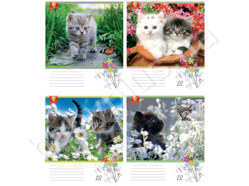 Зошит 12 арк. коса лінія з доп. Люкс Котики, (ціна за упаковку 25 шт.)