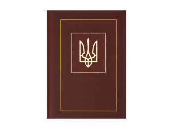 Щоденник недатований NATION, A5, коричневий