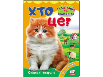 Книжка-картонка "Хто це? Свійські тварини", із великими фото, 2–5 років, Н. Томашевська, Пегас