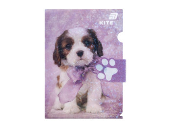 Папка-уголок с клапаном Rachael Hale R25-248, A4, полипропилен, Kite