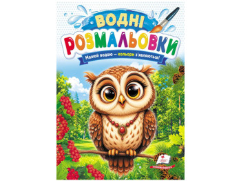 Водні розмальовки "Сова", 1–3 роки, Пегас