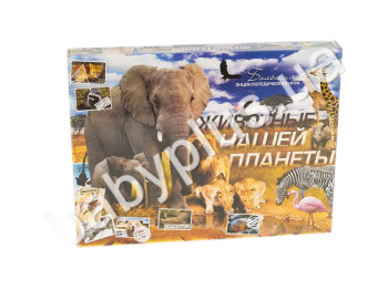 Настольная игра большая Животные планеты №2, Danko Toys