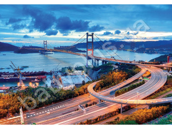 Пазлы картонные 1000 элементов серия 10 JSING MA BRIDGE, Danko Toys