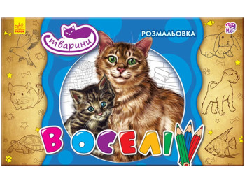 Розмальовка “В оселі котики”, Ранок