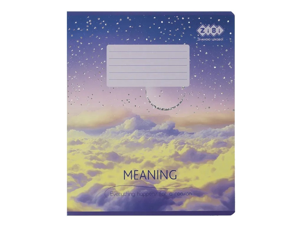 Тетрадь школьная в клетку Meaning, 36 листов B5 (цена за 1шт)