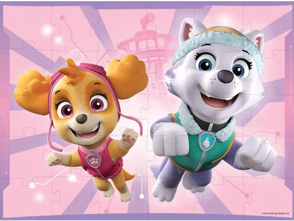 Пазл Paw Patrol Скай и Эверест, 30 элементов, DoDo 200144