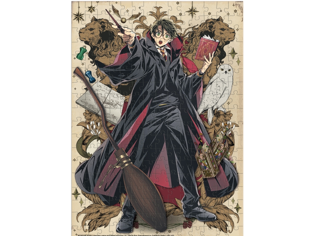 Пазл Harry Potter, Династия волшебников, Гарри, 250 элементов, DoDo 200495