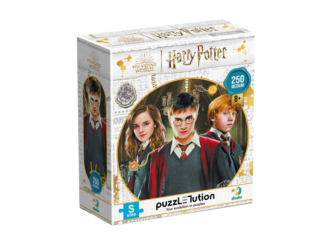 Пазл Harry Potter, Гарри и друзья, 250 элементов, DoDo 200498