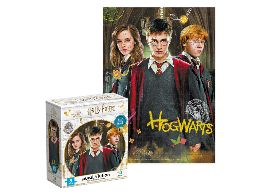Пазл Harry Potter, Гарри и друзья, 250 элементов, DoDo 200498